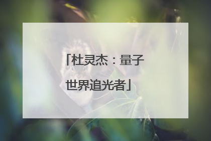 杜灵杰：量子世界追光者