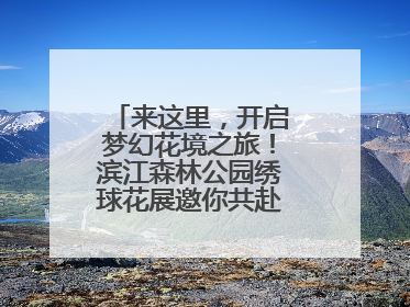 来这里，开启梦幻花境之旅！滨江森林公园绣球花展邀你共赴一场与云朵、花儿的浪漫之约