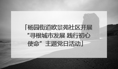 杨园街道欧景苑社区开展“寻根城市发展 践行初心使命”主题党日活动