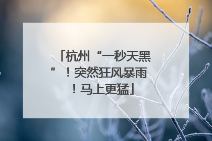 杭州“一秒天黑”！突然狂风暴雨！马上更猛