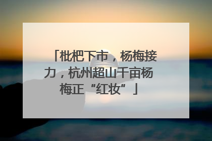 枇杷下市，杨梅接力，杭州超山千亩杨梅正“红妆”