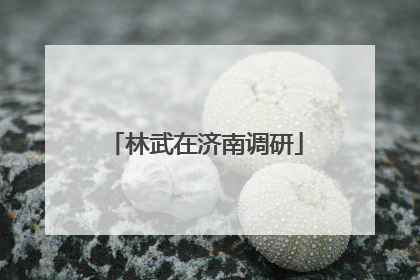 林武在济南调研