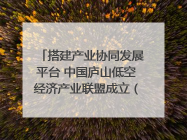 搭建产业协同发展平台 中国庐山低空经济产业联盟成立（组图｜视频）