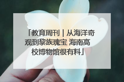 教育周刊｜从海洋奇观到黎族瑰宝 海南高校博物馆很有料