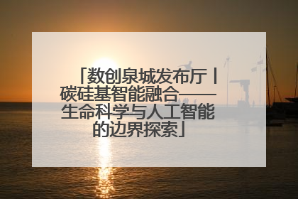 数创泉城发布厅丨碳硅基智能融合——生命科学与人工智能的边界探索