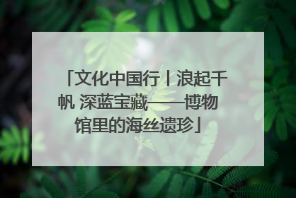 文化中国行丨浪起千帆 深蓝宝藏——博物馆里的海丝遗珍