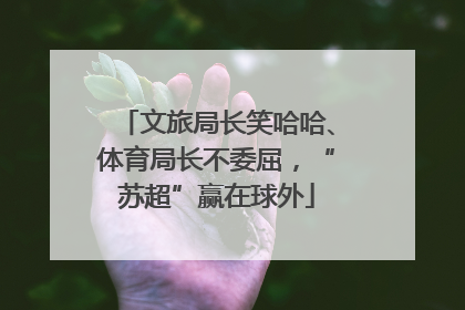 文旅局长笑哈哈、体育局长不委屈，“苏超”赢在球外