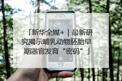 新华全媒+｜最新研究揭示哺乳动物胚胎早期器官发育“密码”