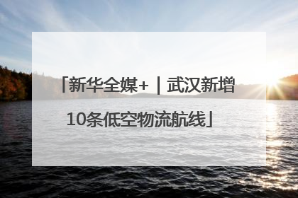 新华全媒+｜武汉新增10条低空物流航线