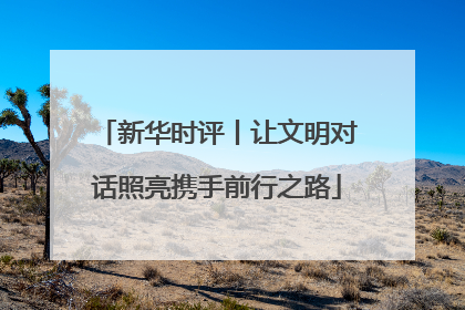 新华时评丨让文明对话照亮携手前行之路
