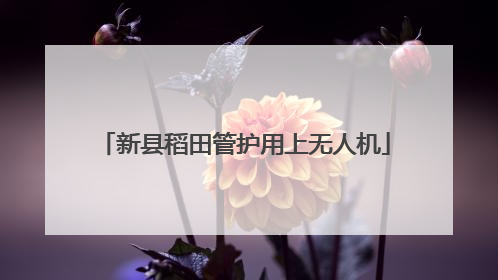 新县稻田管护用上无人机