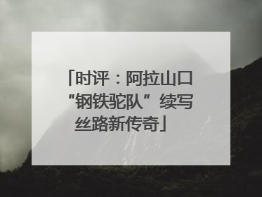 时评：阿拉山口“钢铁驼队”续写丝路新传奇