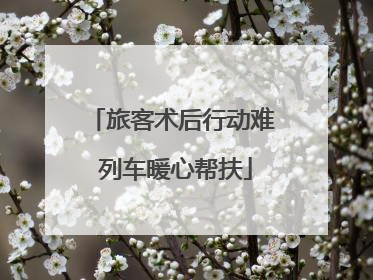 旅客术后行动难 列车暖心帮扶