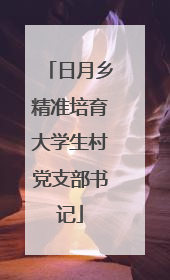 日月乡精准培育大学生村党支部书记