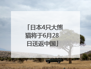 日本4只大熊猫将于6月28日送返中国