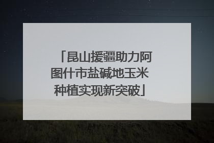 昆山援疆助力阿图什市盐碱地玉米种植实现新突破