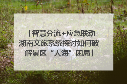 智慧分流+应急联动 湖南文旅系统探讨如何破解景区“人海”困局