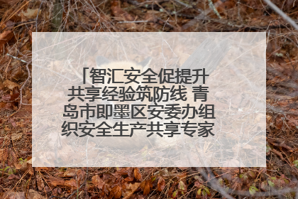 智汇安全促提升 共享经验筑防线 青岛市即墨区安委办组织安全生产共享专家现场观摩学习活动