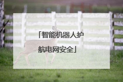 智能机器人护航电网安全
