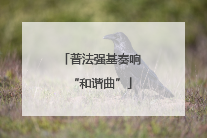 普法强基奏响“和谐曲”