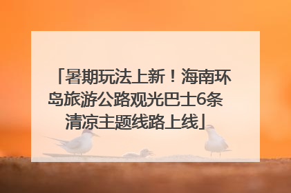 暑期玩法上新！海南环岛旅游公路观光巴士6条清凉主题线路上线