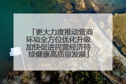 更大力度推动营商环境全方位优化升级加快促进民营经济持续健康高质量发展