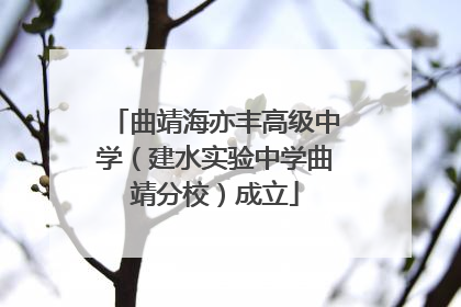 曲靖海亦丰高级中学（建水实验中学曲靖分校）成立