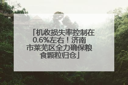 机收损失率控制在0.6%左右！济南市莱芜区全力确保粮食颗粒归仓