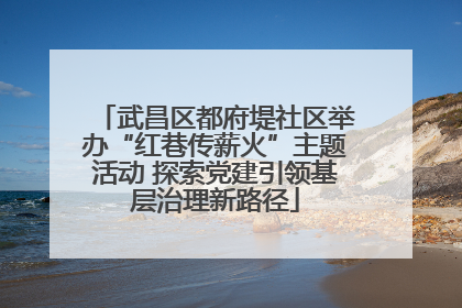 武昌区都府堤社区举办“红巷传薪火”主题活动 探索党建引领基层治理新路径