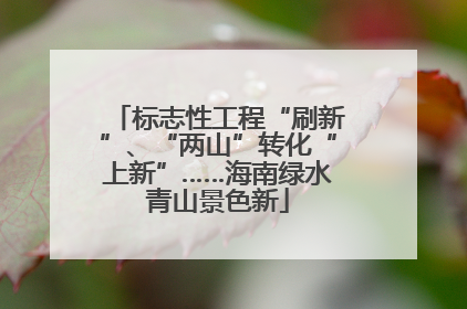 标志性工程“刷新”、“两山”转化“上新”……海南绿水青山景色新