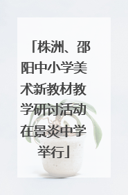 株洲、邵阳中小学美术新教材教学研讨活动在景炎中学举行