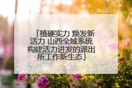 植硬实力 焕发新活力 山西全域系统构建活力迸发的派出所工作新生态