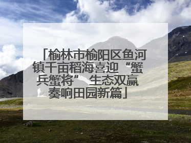 榆林市榆阳区鱼河镇千亩稻海喜迎“蟹兵蟹将” 生态双赢奏响田园新篇