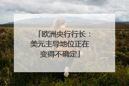 欧洲央行行长：美元主导地位正在变得不确定