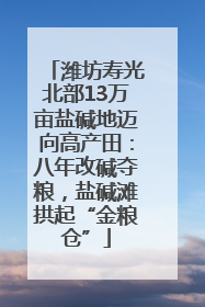 潍坊寿光北部13万亩盐碱地迈向高产田：八年改碱夺粮，盐碱滩拱起“金粮仓”