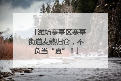 潍坊寒亭区寒亭街道麦熟归仓，不负当“夏”！