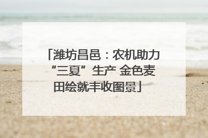 潍坊昌邑：农机助力“三夏”生产 金色麦田绘就丰收图景