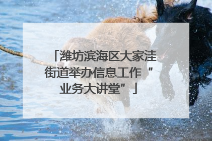 潍坊滨海区大家洼街道举办信息工作“业务大讲堂”