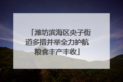 潍坊滨海区央子街道多措并举全力护航粮食丰产丰收