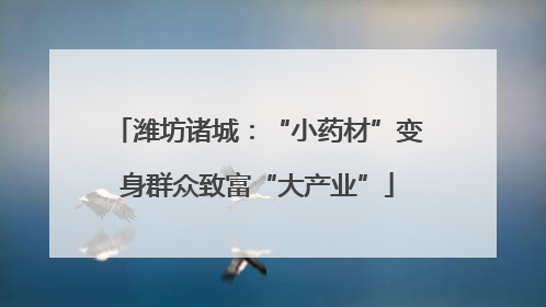 潍坊诸城：“小药材”变身群众致富“大产业”