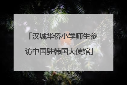 汉城华侨小学师生参访中国驻韩国大使馆