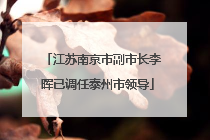 江苏南京市副市长李晖已调任泰州市领导