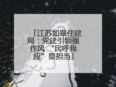 江苏如皋住建局：党建引领强作风 “民呼我应”显担当