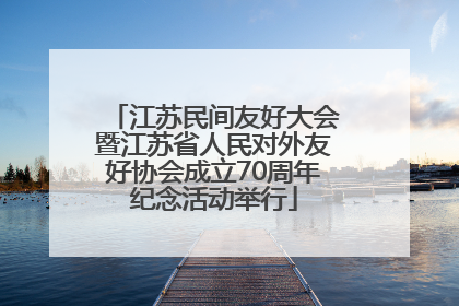 江苏民间友好大会暨江苏省人民对外友好协会成立70周年纪念活动举行