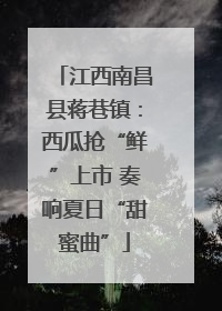 江西南昌县蒋巷镇：西瓜抢“鲜”上市 奏响夏日“甜蜜曲”