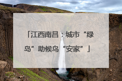 江西南昌：城市“绿岛”助候鸟“安家”