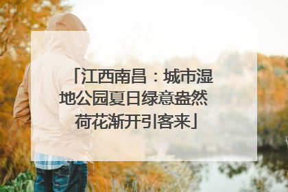 江西南昌：城市湿地公园夏日绿意盎然 荷花渐开引客来