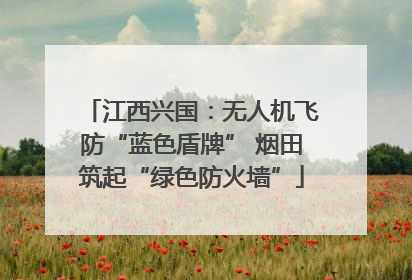 江西兴国：无人机飞防“蓝色盾牌” 烟田筑起“绿色防火墙”