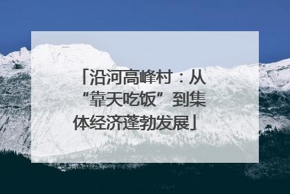 沿河高峰村：从“靠天吃饭”到集体经济蓬勃发展