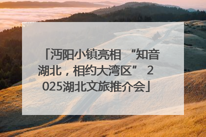 沔阳小镇亮相 “知音湖北，相约大湾区” 2025湖北文旅推介会
